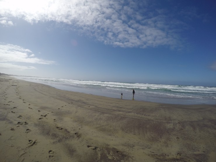 DCIM100GOPROGOPR0396.