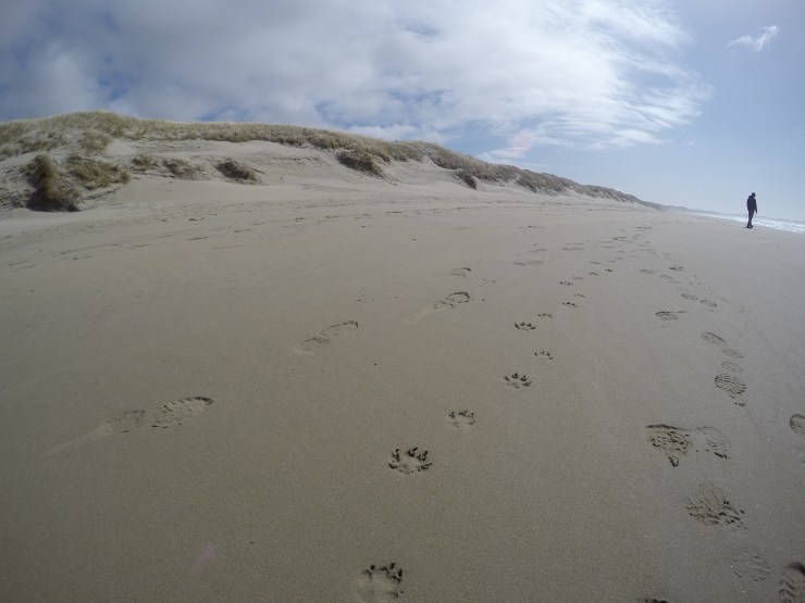 DCIM100GOPROGOPR0402.