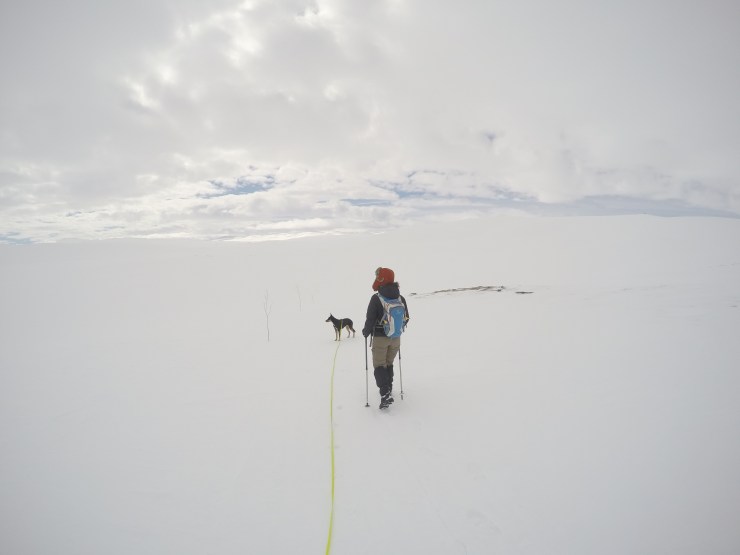 DCIM100GOPROGOPR0543.