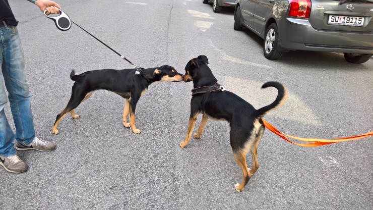 WP_20160510_13_33_13_Rich_LI