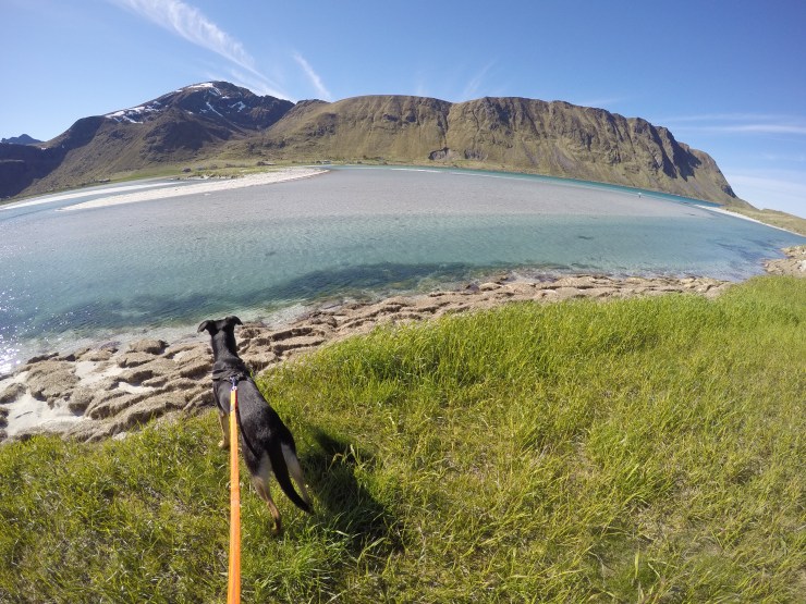 DCIM100GOPROGOPR0654.