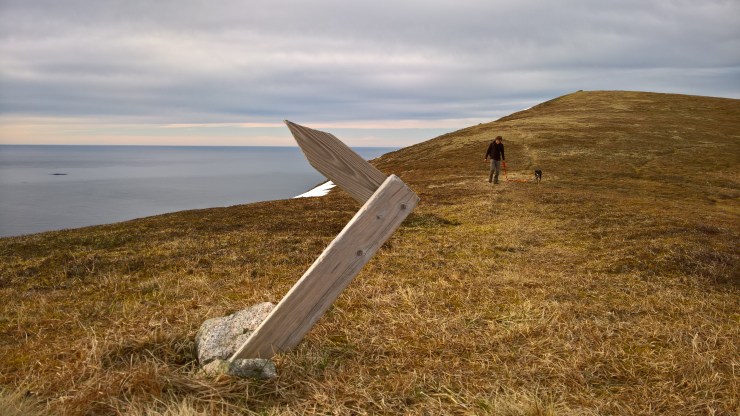 WP_20160522_18_43_47_Rich_LI