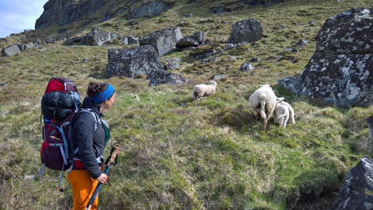 WP_20160523_12_23_05_Rich_LI