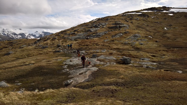 WP_20160523_13_22_08_Rich_LI