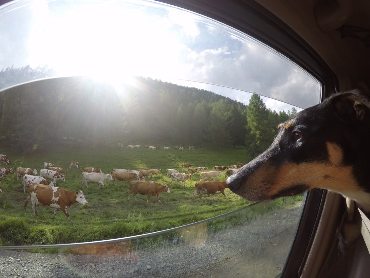 DCIM100GOPROGOPR0763.