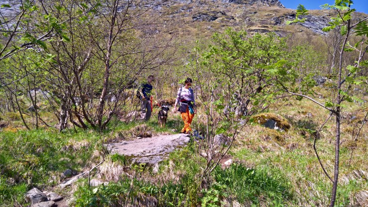 wp_20160526_14_55_49_raw_li